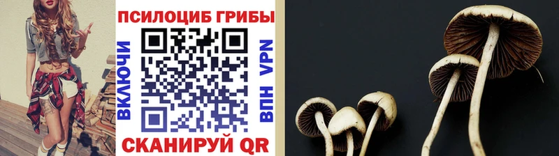 Псилоцибиновые грибы прущие грибы  shop официальный сайт  Кудымкар 